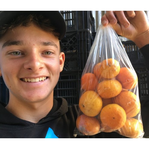 NEW SEASONS ENCORE MANDARINS  1 KG Bag  Katikati Grown